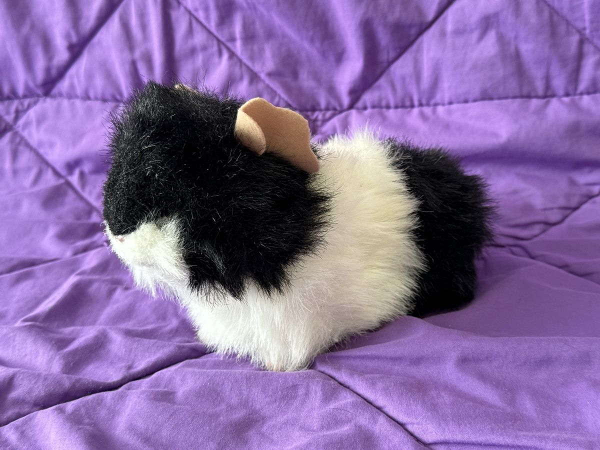 FurReal Giocattoli: FurReal Meerschwein – Usato da Bern venduto da Zeiseli 1