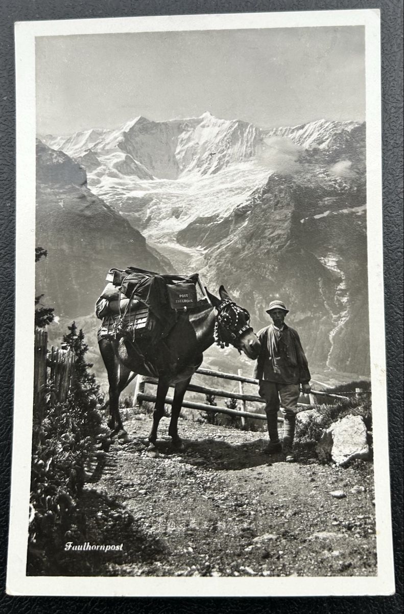 Cartes postales: Faulhorn Post – D'occasion à Horw par Tellbub