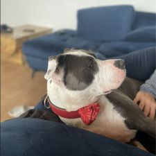Profile image of Jrina2401