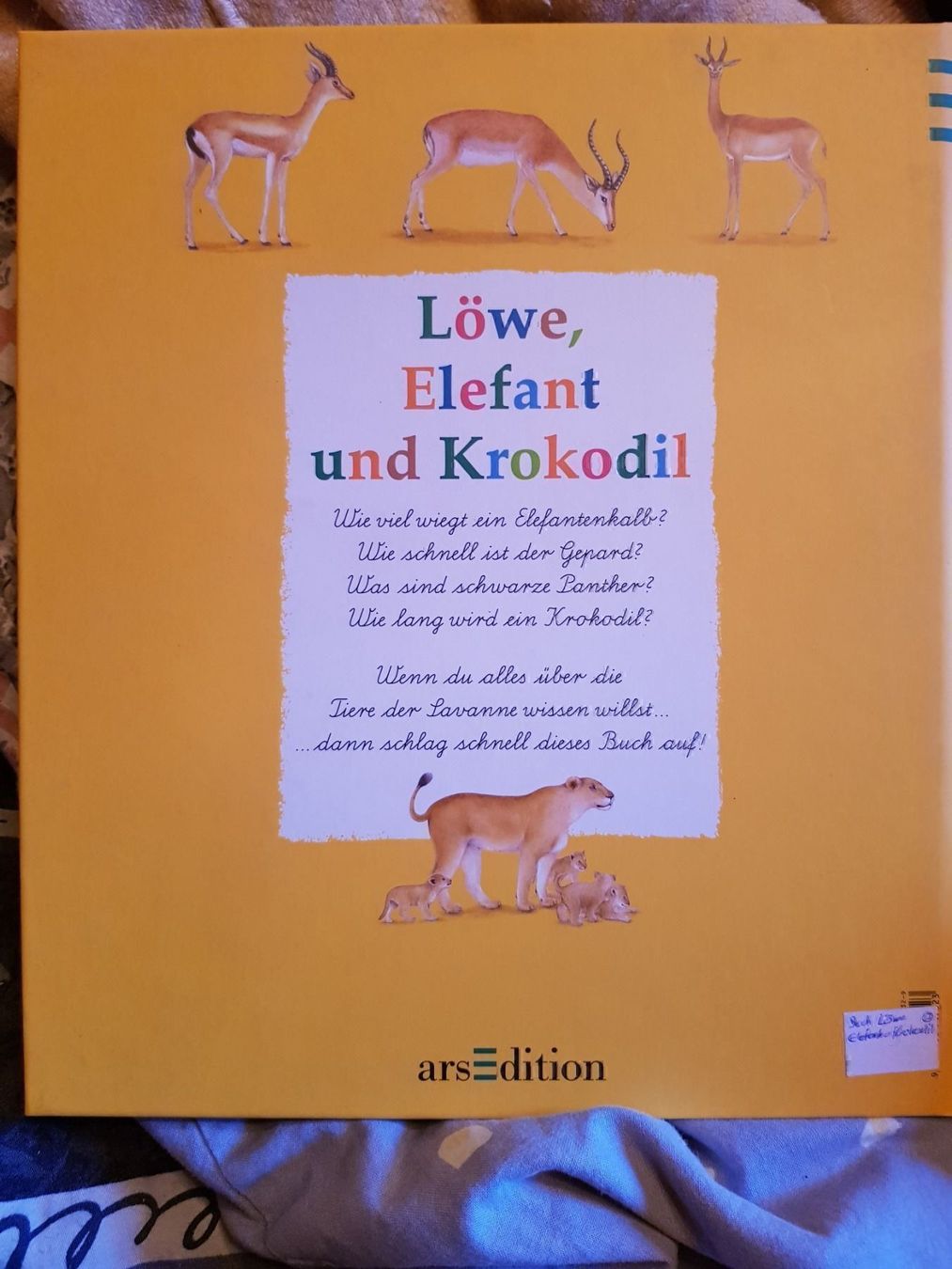 Libri: Buch Löwe, Elefant und Krokodil – Nuovo e nell'imballaggio originale da Schwarzenburg venduto da Flamingo07 1