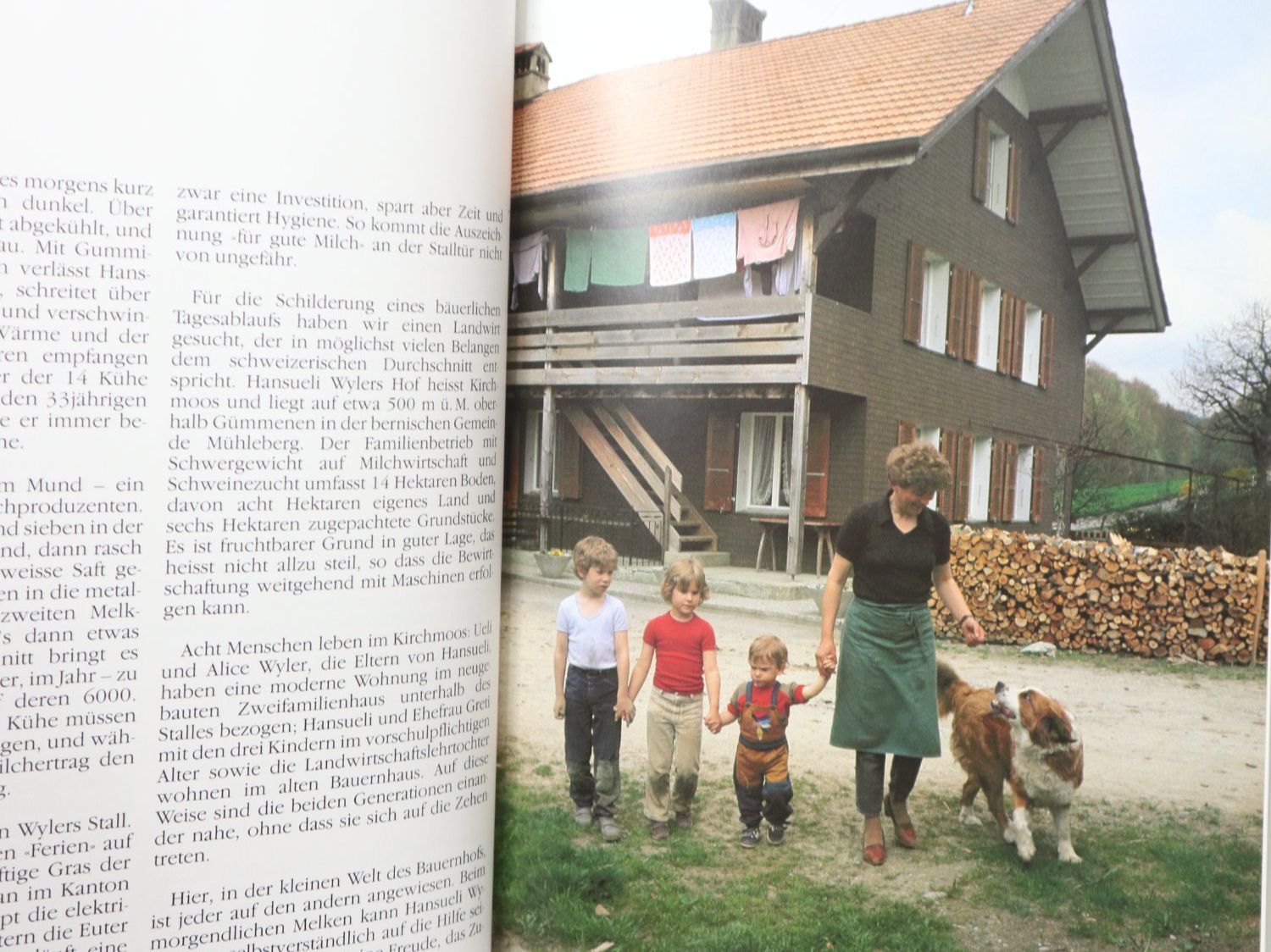 Bücher: Buch, Bauernland Schweiz – Gebraucht aus Eschenbach SG von Astalavista 1