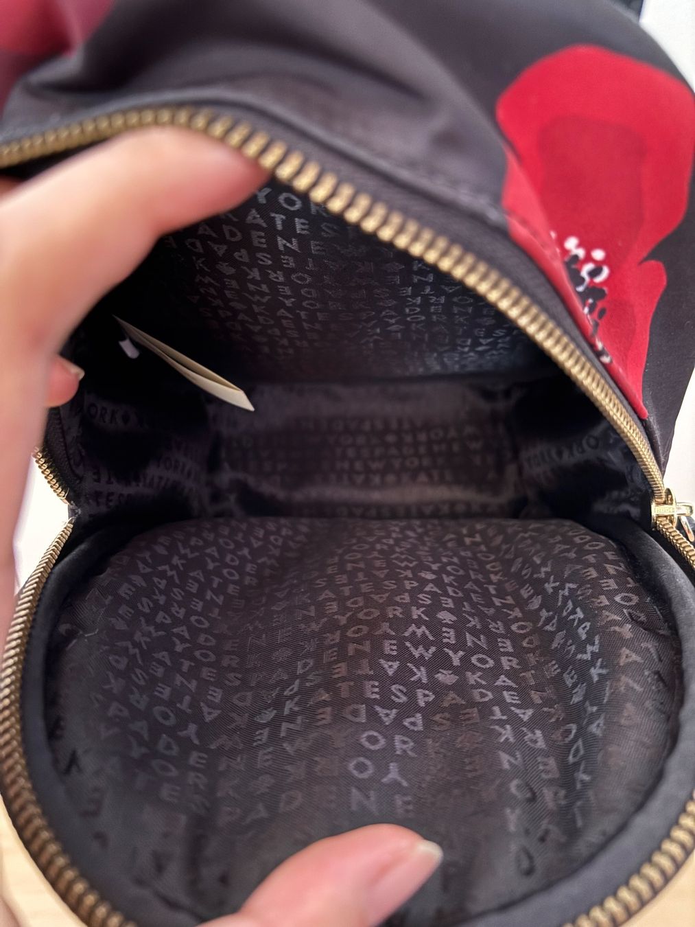 Kate Spade Zaini: Kate Spade Mini-Rucksack – Usato da Trübbach venduto da hik_gh6y 7