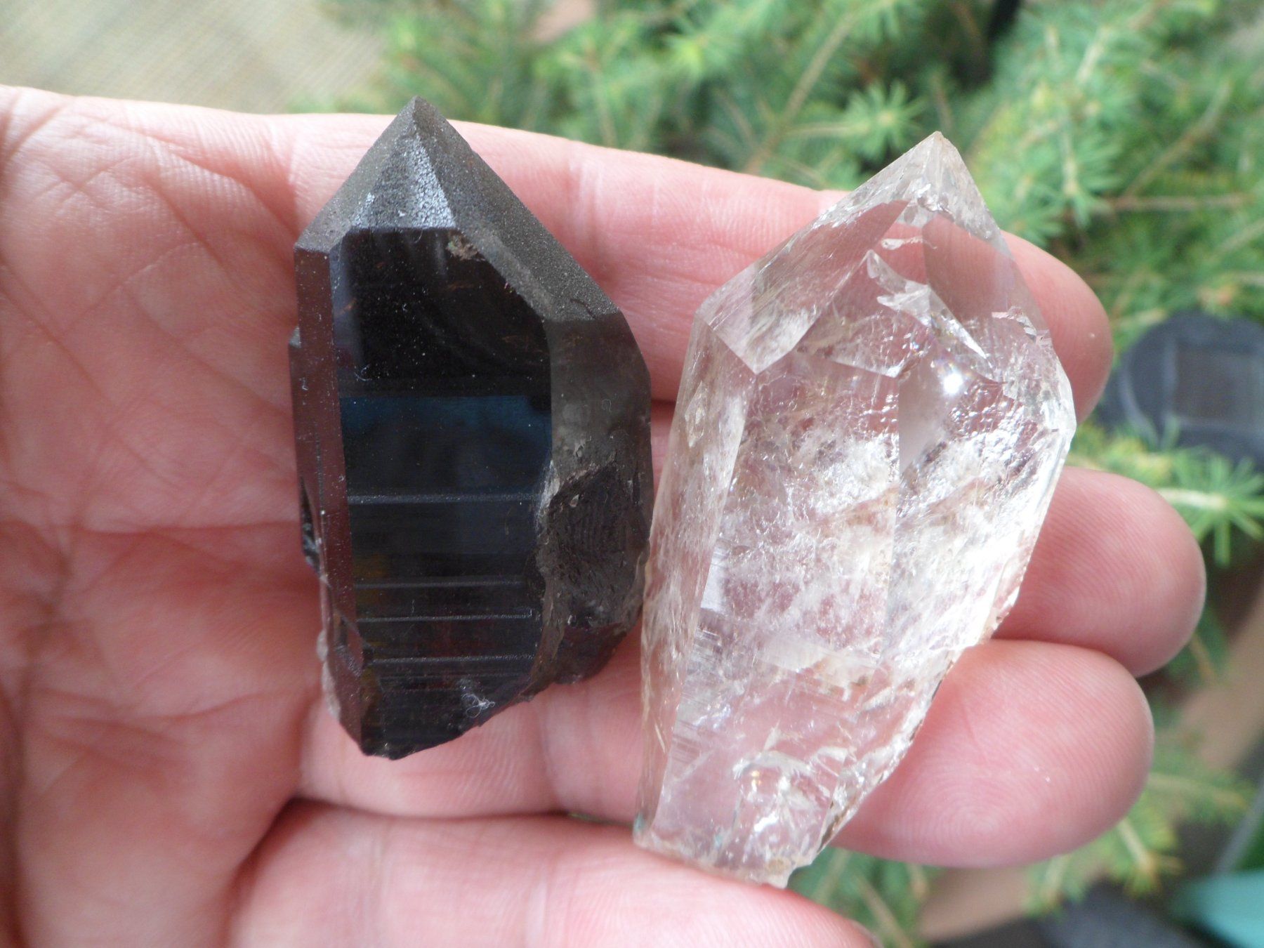 Minerali & Pietre curative: Morion + Bergkristall Schweiz – Usato da Affoltern am Albis venduto da Fossil60 1
