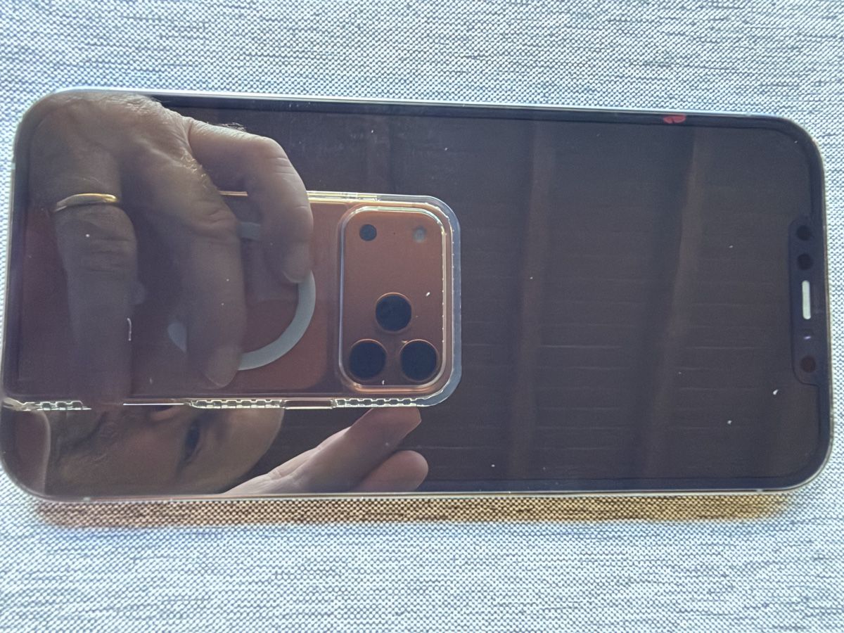 Apple Telefoni cellulari / Smartphones: iPhone 12 Pro Max - Bleu - 256 GB – Usato da Troinex venduto da Tschoop 7