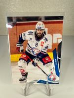 259 Willy Riedi ZSC Lions SportZoo 2025/26