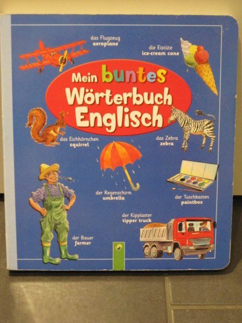 Libri: Bilder-Wörterbuch Englisch – Usato da Steinhausen venduto da ladisci