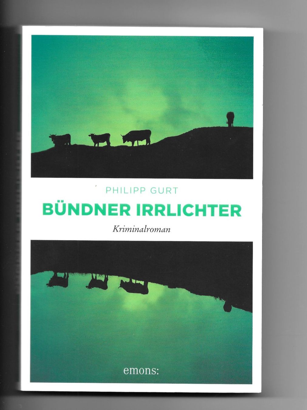 Libri: Philipp Gurt "Bündner Irrlichter" – Usato da Samstagern venduto da Bladetigi