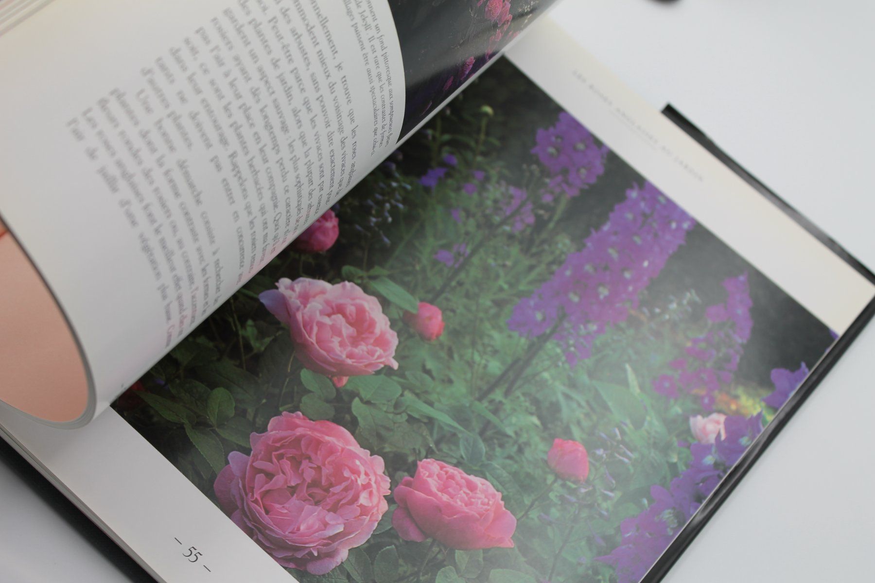 Bücher: Les Roses Anglaises – David Austin – Gebraucht aus Lachen SZ von ratata 2
