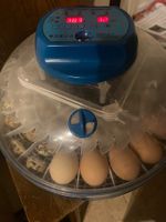 Verkaufe Brutautomat vollautomatisch