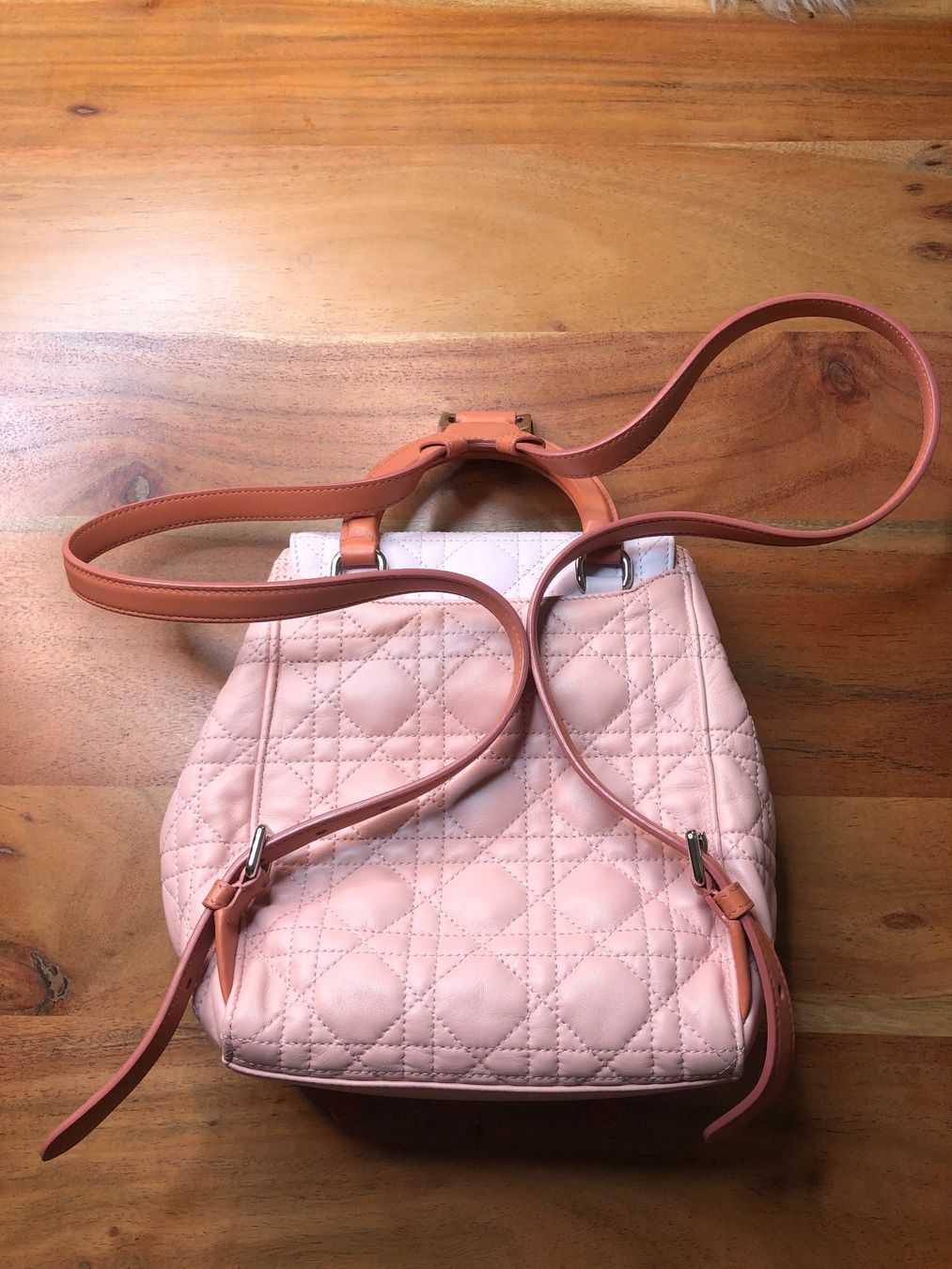Dior Zaini: DIOR Rücksack-Tasche Limited Edition NEU – Nuovo (secondo la descrizione) da St. Moritz venduto da Capricorn88 1