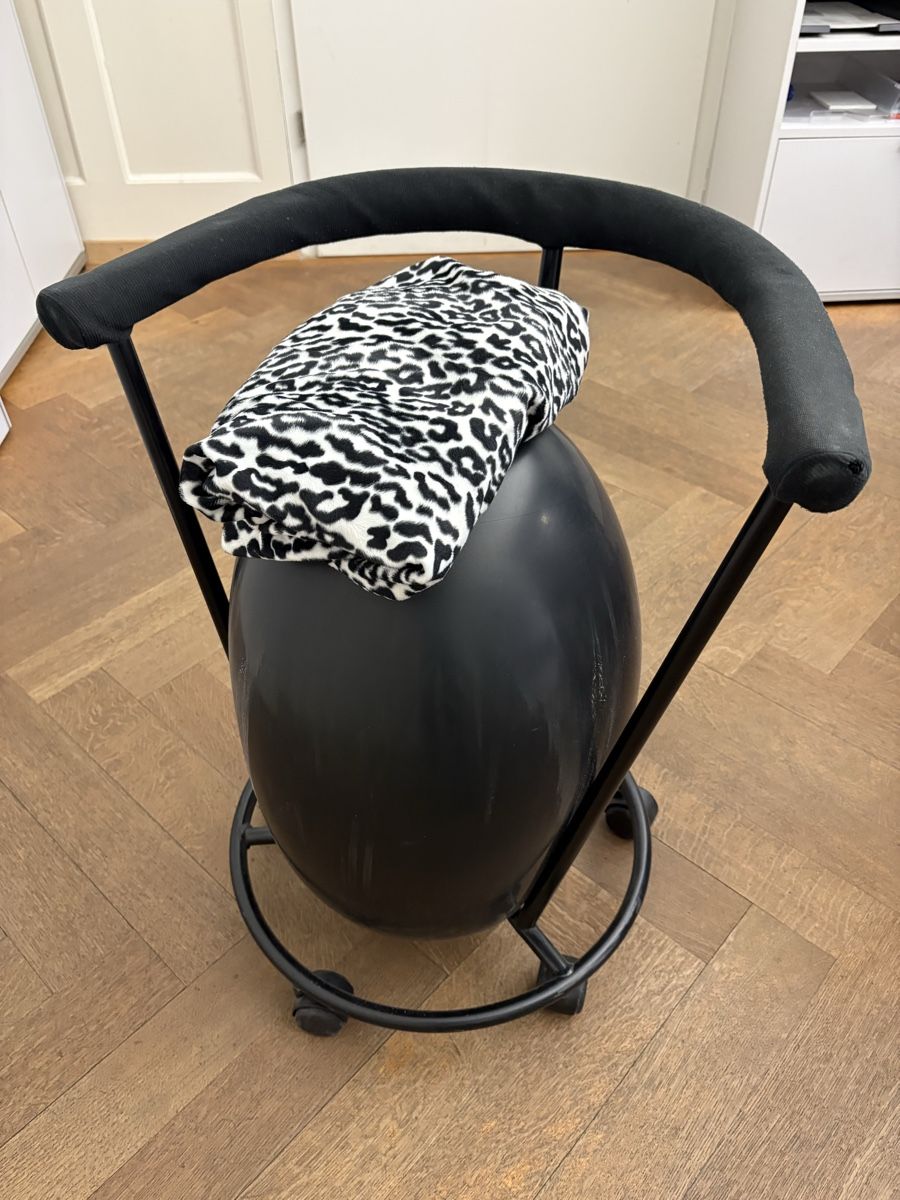 Chaises: Origineller Gesundheitsstuhl – D'occasion à Pfäffikon ZH par Antranandi 1