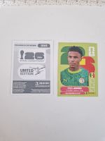 Panini Sticker SEN6