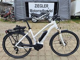 E-Bike Flyer TS 25km/h Grösse 50 Neuwertig Bosch Motor Gr.50