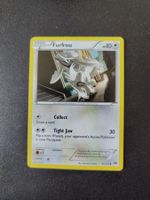 Furfrou 95/122 Pokémon XY Breakpoint 2016 (EN) ab 1.-