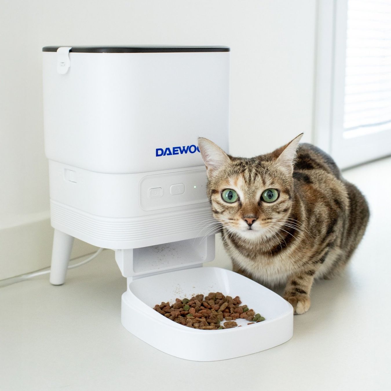 Mangimi: Daewoo Automatic Pet Feeder with TUYA App – Nuovo e nell'imballaggio originale da Hitzkirch venduto da Thali_AG 6