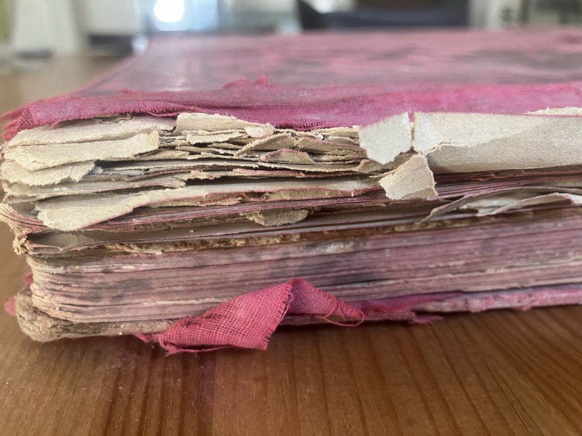 Libri: Antike Bibel 1909 | Bible – Difettoso da Zürich venduto da nos_2msr 5