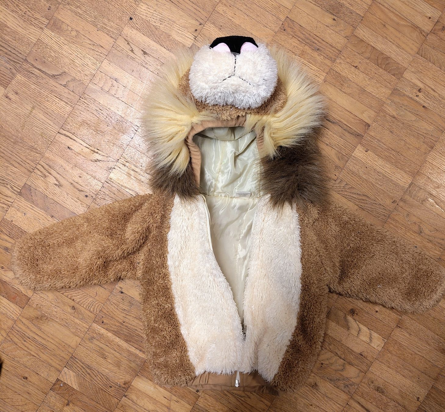 Costumi: Kinder Kostüm Löwe Plüsch – Usato da Wittenwil venduto da Merida1 2
