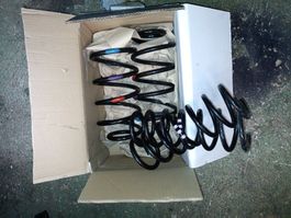 Schraubenfedern nur  Vorderachse Original Ford Focus ST
