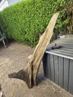 Einzigartiges Stück Eichen Wurzelholz für Garten oder Deko