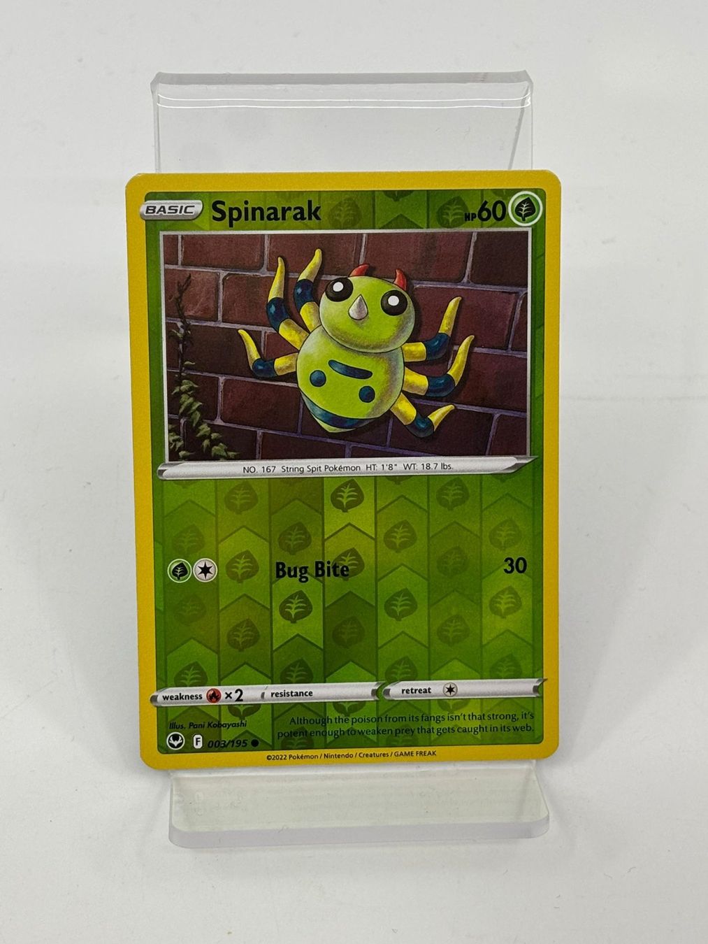 Pokémon Carte collezionabili: Pokemon Spinarak 003/195 – Usato da Herisau venduto da Pokemon2025