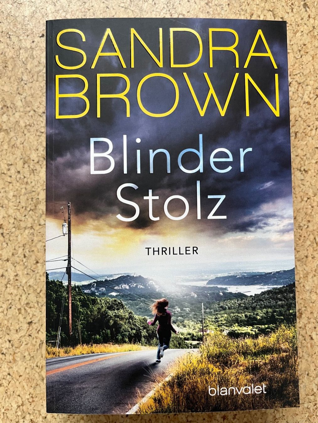 Libri: Taschenbuch "Blinder Stolz", Sandra Brown – Usato da Grosswangen venduto da Vita500