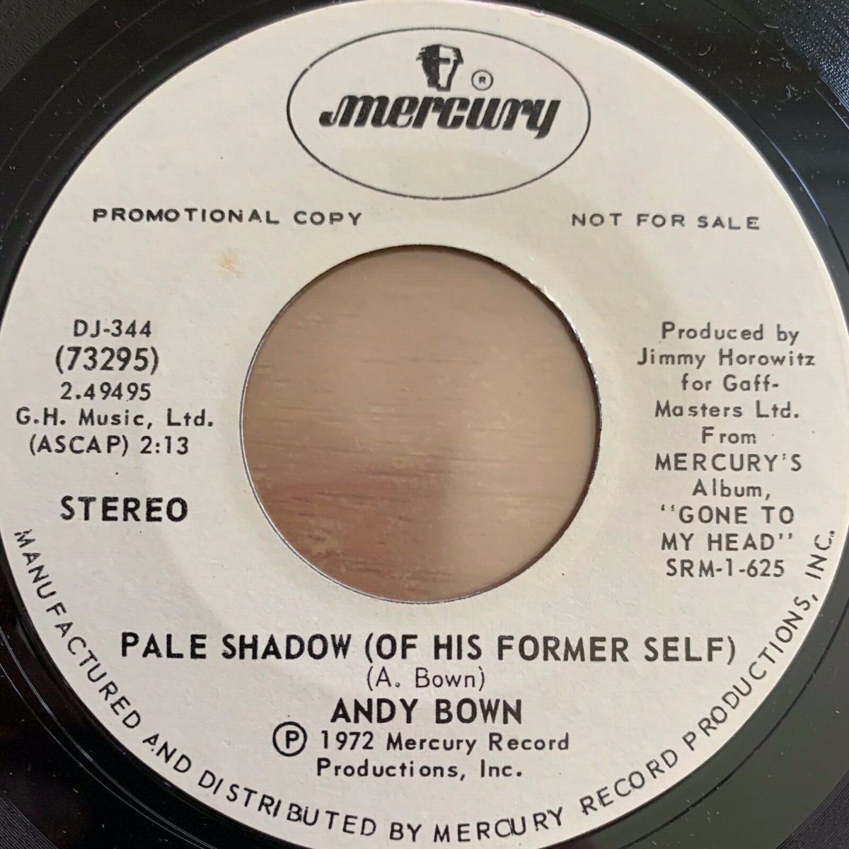 Dischi in vinile: Andy Bown - Pale Shadow / US-Promo 1972  - TOP – Usato da Gais venduto da soundcave57