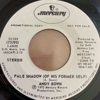 Andy Bown - Pale Shadow / US-Promo 1972  - TOP