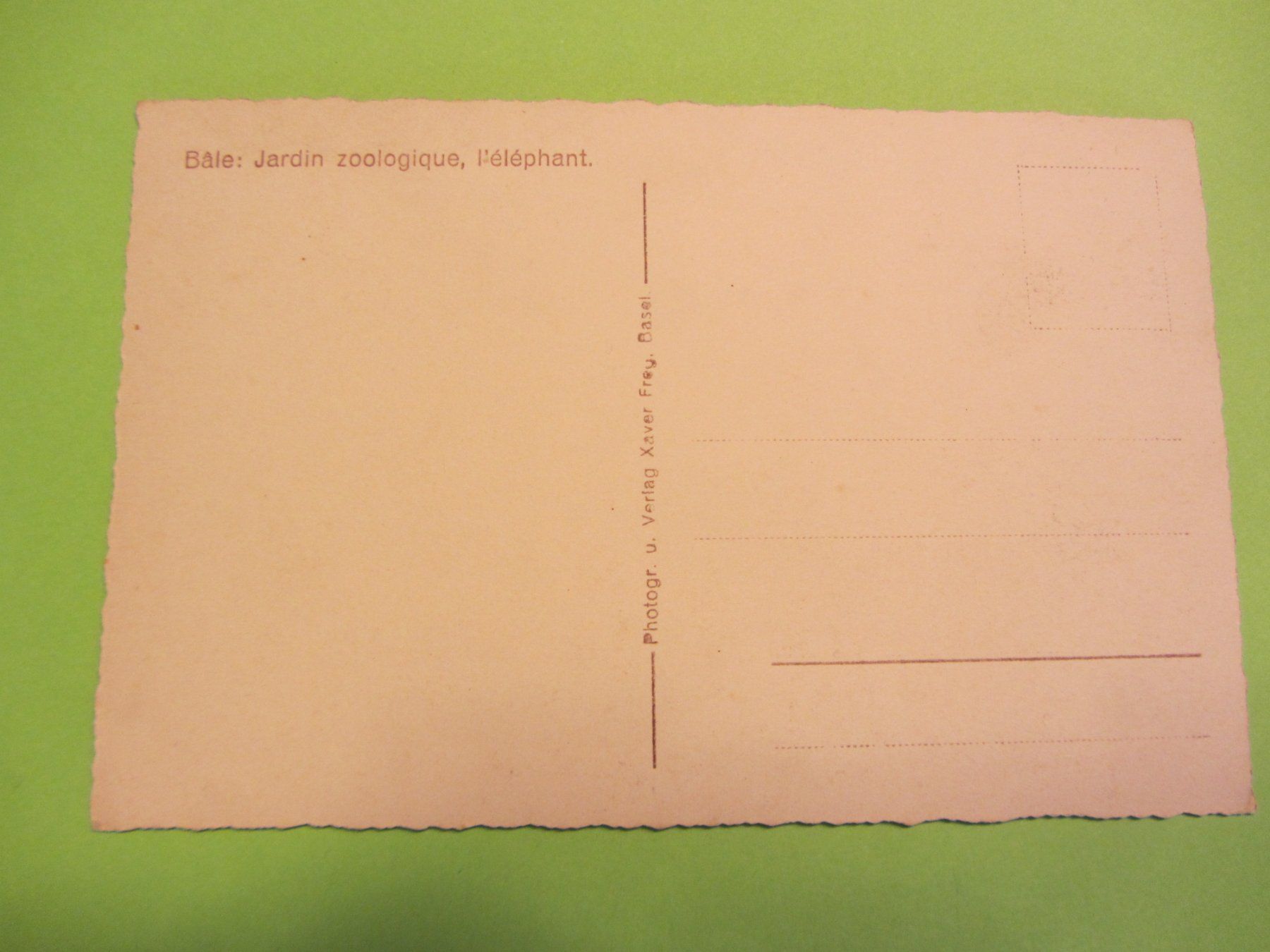 Cartoline postali: Ansichts Karte  Zoo Basel um 1900 – Usato da Malters venduto da Hausi88 1