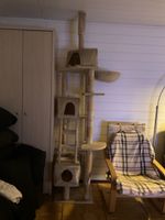 Kratzbaum beige mit Liegehöhlen und Leiter gebraucht