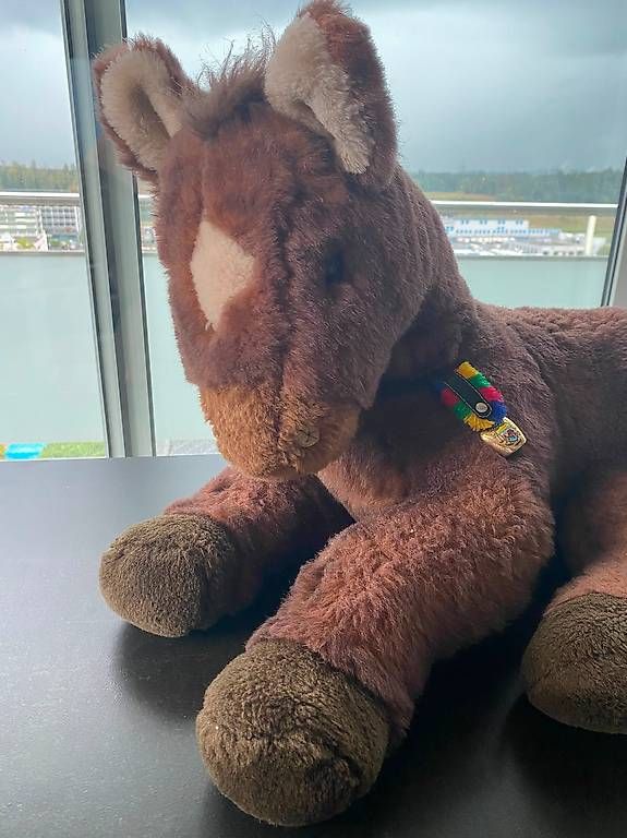 Giocattoli: Grosses Plüsch-Pony – Usato da Buchrain venduto da nic_9k5l 1