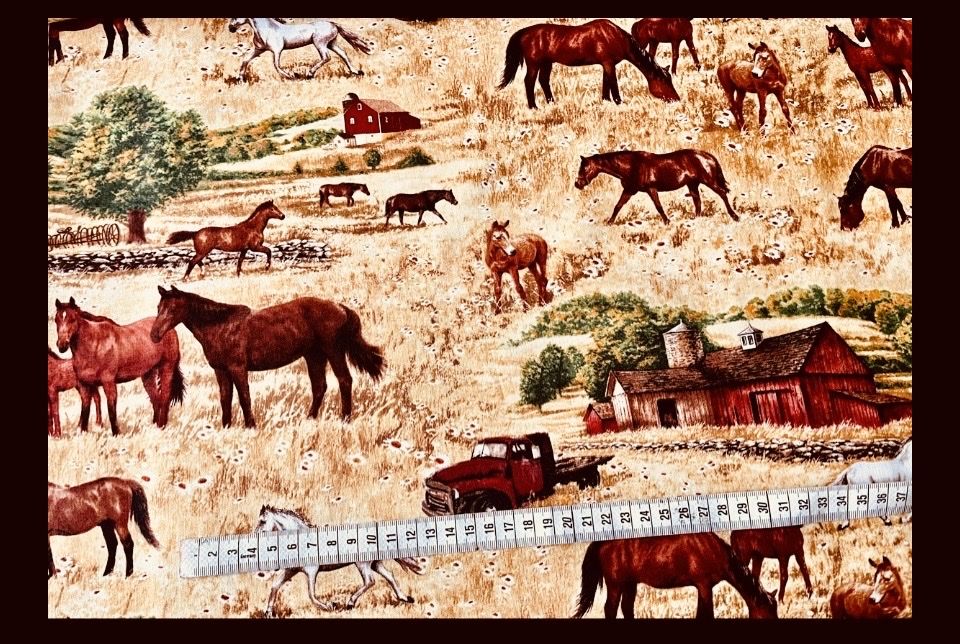 Tessuti: Patchworkstoffe 2er Set Pferdekoppel/Hauswand – Nuovo (secondo la descrizione) da Seuzach venduto da KreativmitStoff 2