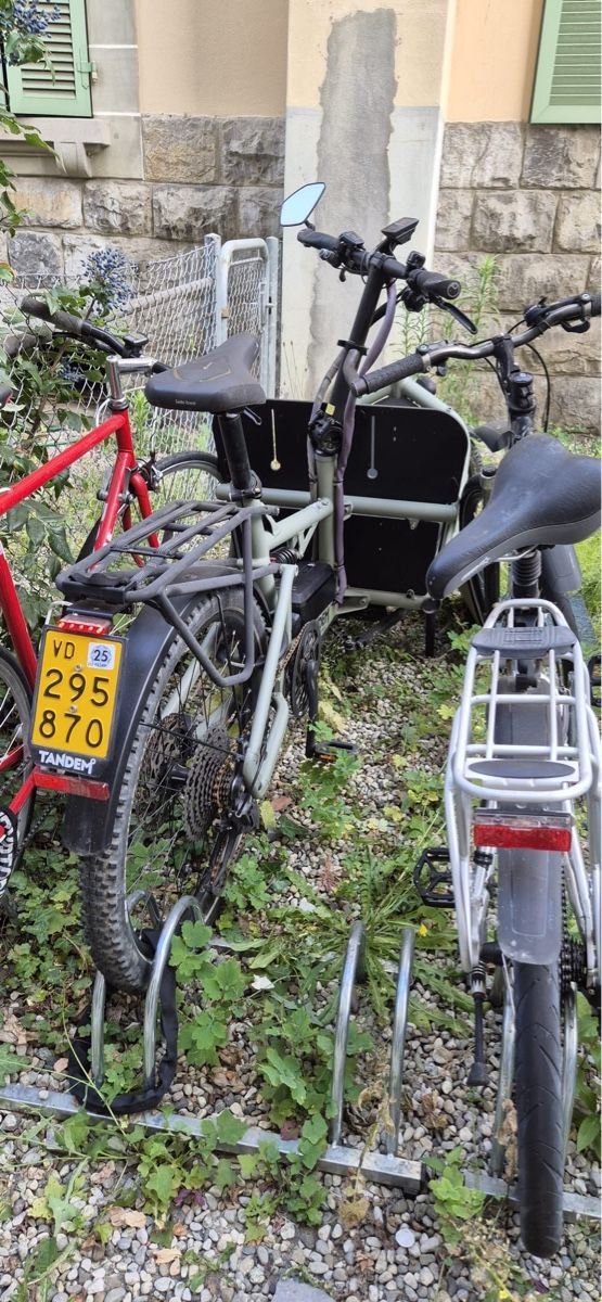 Riese & Müller Biciclette: Velo cargo riese and muller load 60 – Usato da Lausanne venduto da TelmaLouise70 3