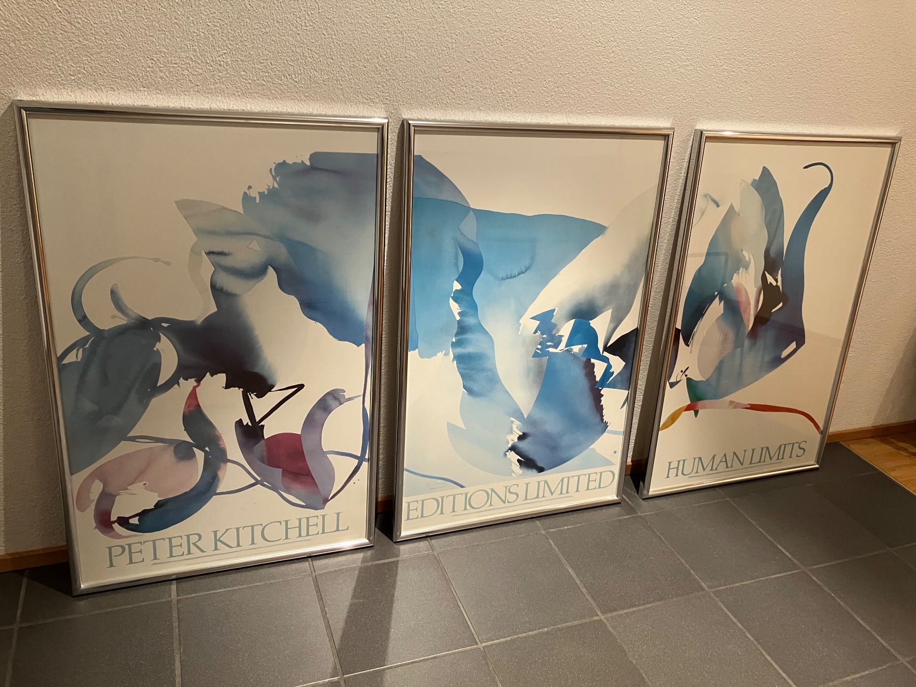 Poster & Bilder: Bilderserie Peter Kitchell, gerahmt – Gebraucht aus Zürich von mar_sn85