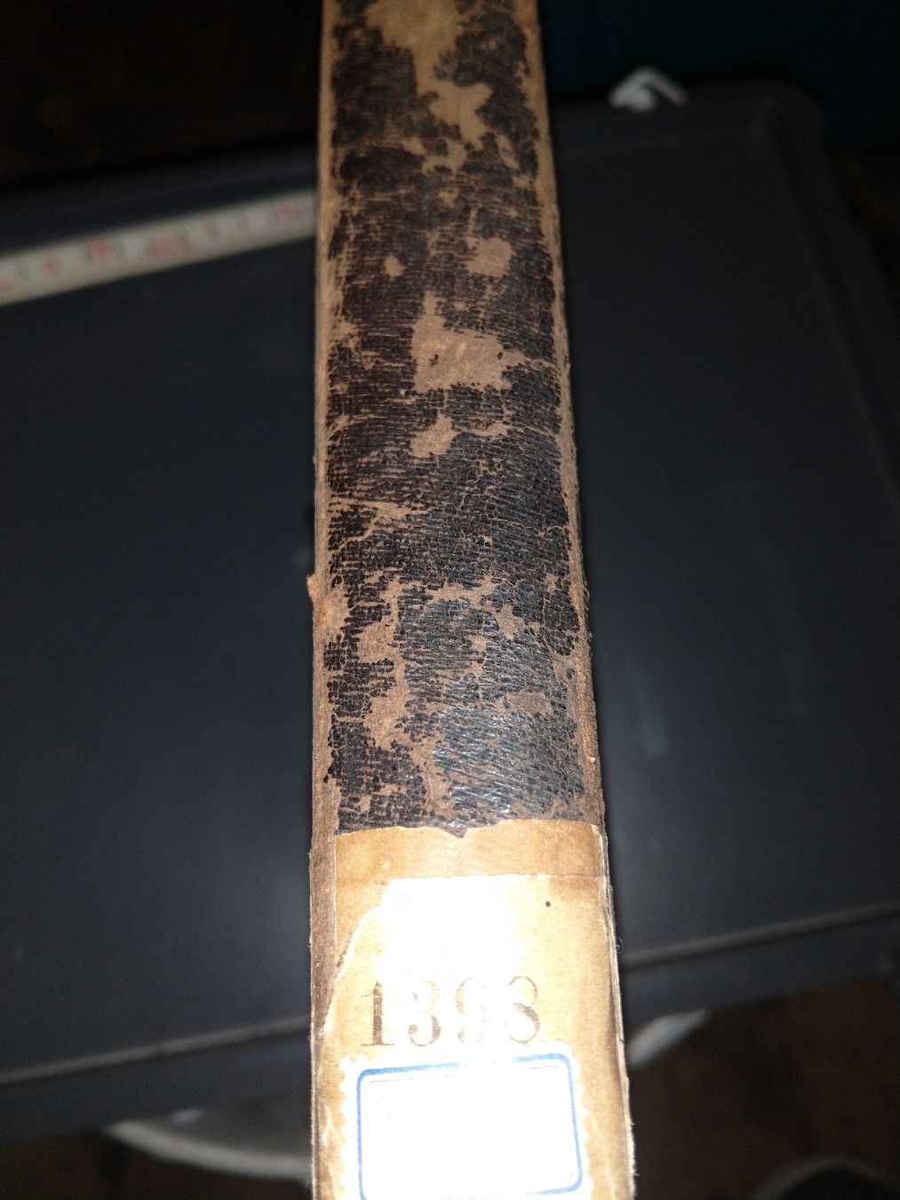 Libri: Buch Grundz.Physiologie 1893 – Usato da Künten venduto da Spinner62 2