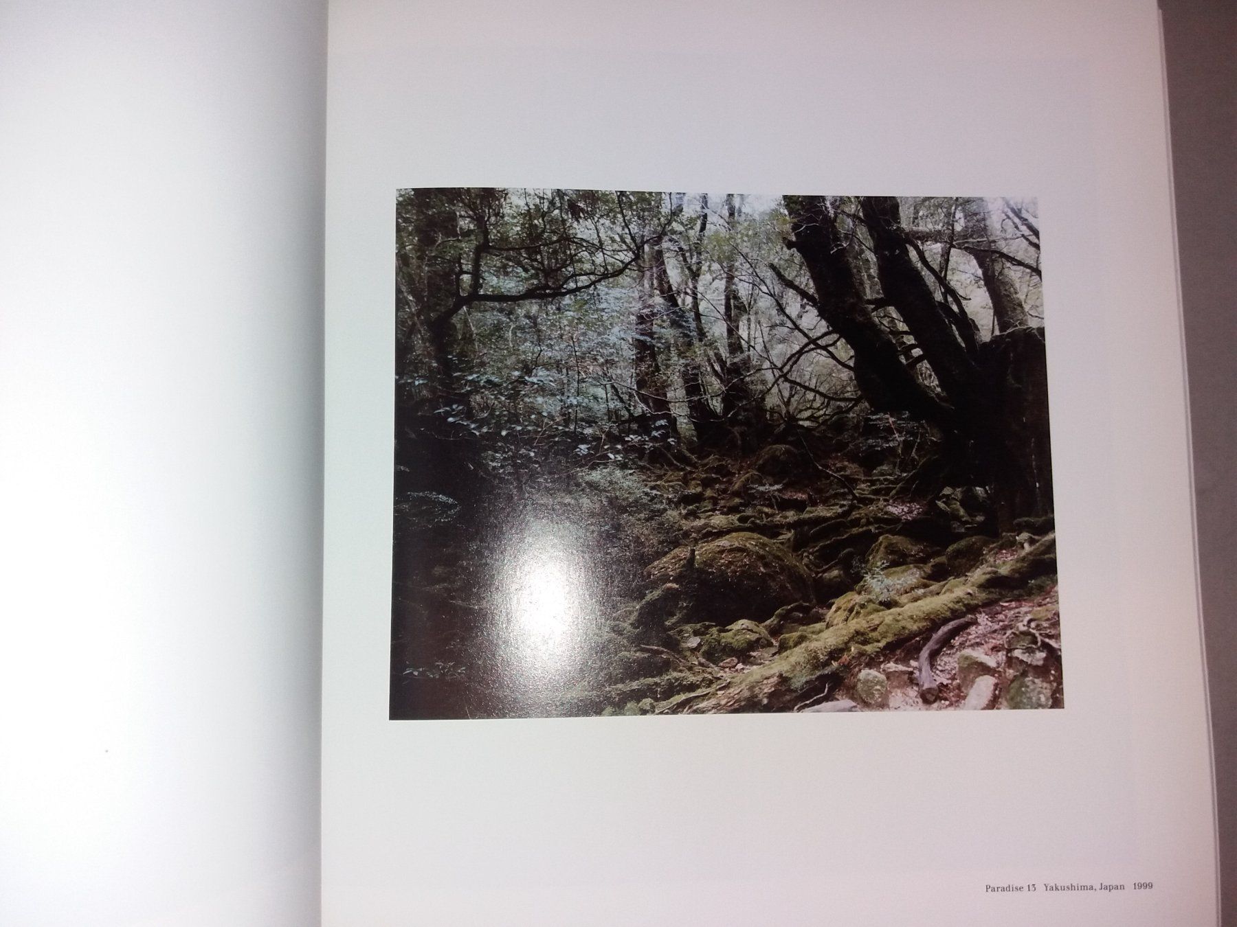 Libri: FOTOKLASSIKER Thomas Struth Zürich – Usato da Welschenrohr venduto da Regool 8