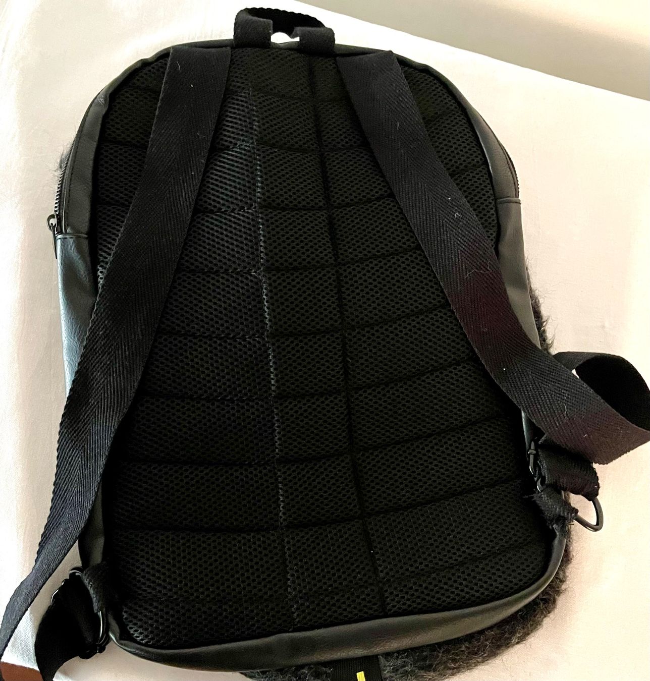 Zara Zaini: Trend Rucksack – Usato da Weiningen ZH venduto da san_7hsm 2