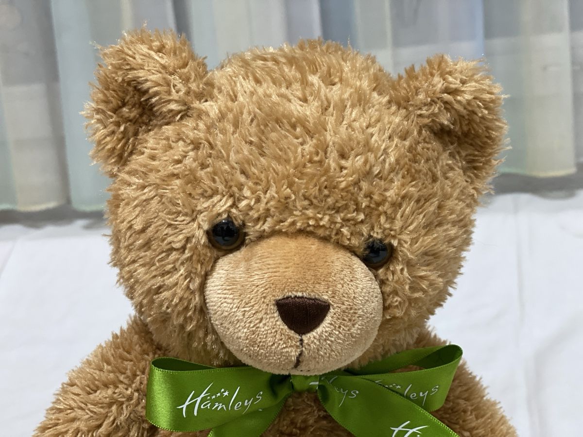 Giocattoli: Grosses Teddybär-Set, 10 Stk – Usato da Brütten venduto da Acutis2006 5