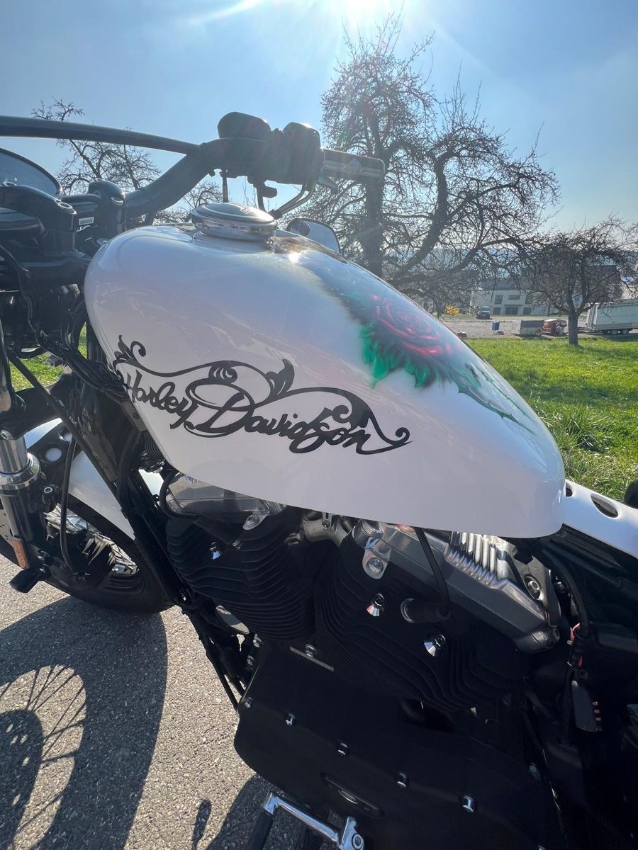 Harley-Davidson Strada: Harley-Davidson Sportster 48 1200cc – Usato da Seengen venduto da Pani09 3