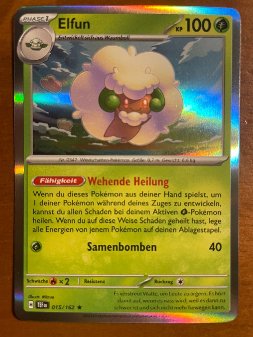 Pokémon Carte collezionabili: Pokemon Elfun Holo (Versand gratis) – Nuovo (secondo la descrizione) da Chur venduto da Angerson