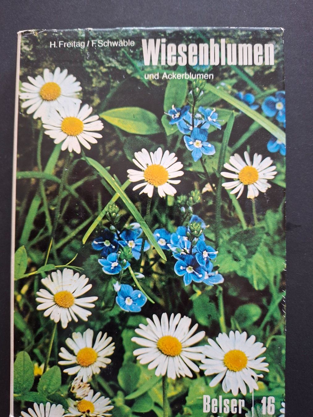 Bücher: Blumenbücher – Gebraucht aus Goldach von armando_r 1