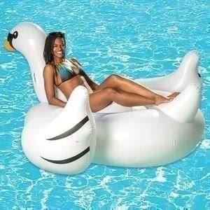 Piscine: Schwan  / Ferien 152 cm Riesig Gross – Nuovo e nell'imballaggio originale da Arth venduto da 100i 1