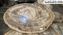 Tisch Fossil Stein Versteinertes Holz Couchtisch Esstisch