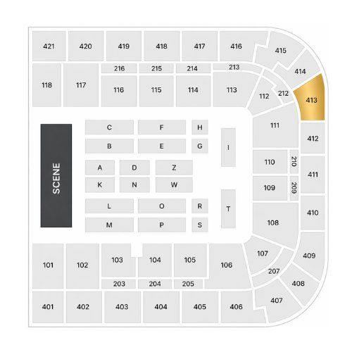 Biglietti: Céline Dion Tickets - Samstag 12.09.2026 - Block 413 – Nuovo e nell'imballaggio originale da Wohlen AG venduto da OOS-Tickets 1