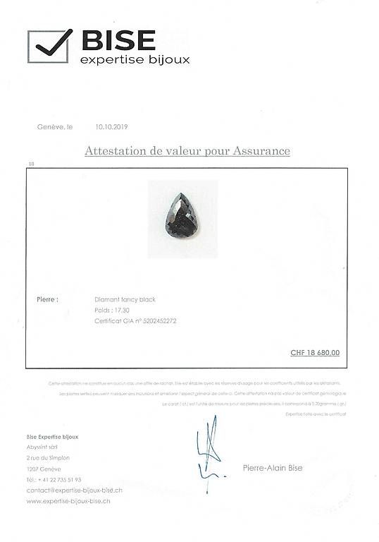 Pietre preziose: Diamant Fancy Black 17.30 ct GIA – Usato da Châtelaine venduto da GenevaTrade