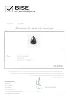 Diamant Fancy Black 17.30 ct GIA
