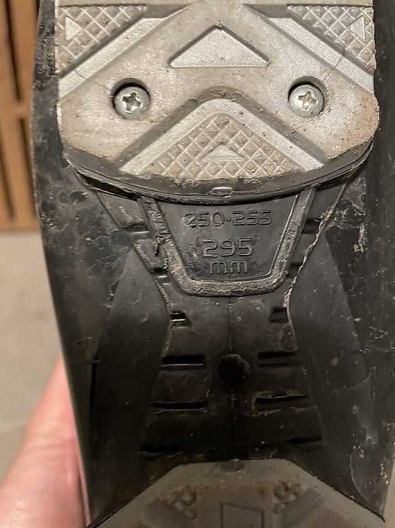 Damenschuhe: Nordica Skischuhe 38/39 – Gebraucht aus Bern von htbaxxter 2