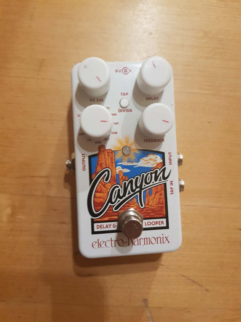 Instruments de musique: Electro Harmonix Canyon Delay pedal – D'occasion à Fribourg par StefanoChristen