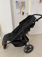 Buggy Rapid Hauck