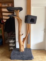 Naturstamm Katzenbaum Unikat