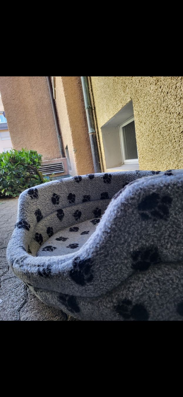 Cucce & Letti: hundebett – Usato da Zürich venduto da yol_x9sd 1